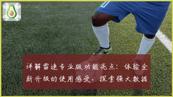 详解雷速专业版功能亮点：体验全新升级的使用感受，探索强大数据分析魅力